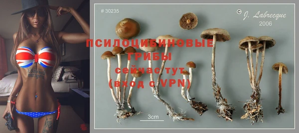 крисы Алексеевка