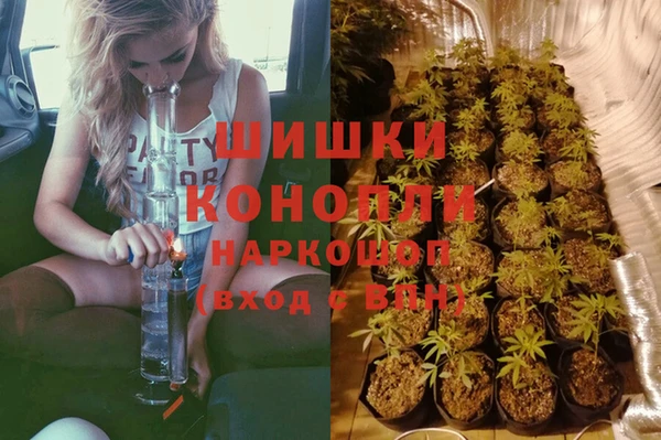 крисы Алексеевка