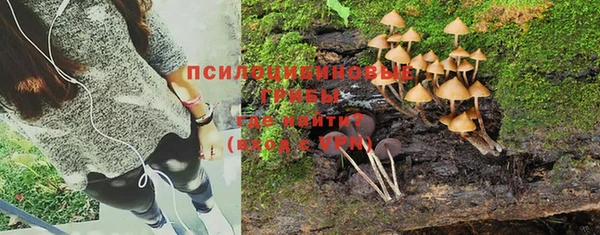 кокаин колумбия Алексин