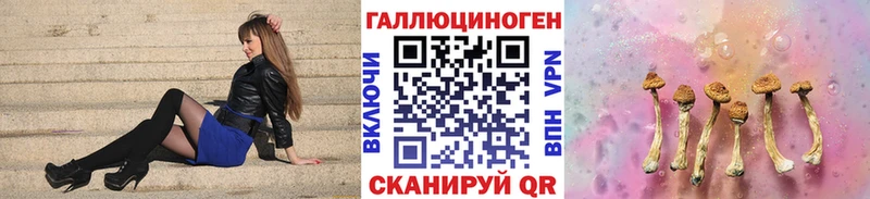 купить наркоту  Тогучин  Галлюциногенные грибы прущие грибы 
